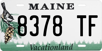ME license plate 8378TF