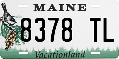 ME license plate 8378TL