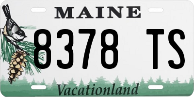 ME license plate 8378TS