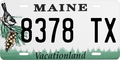 ME license plate 8378TX