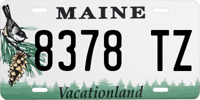 ME license plate 8378TZ