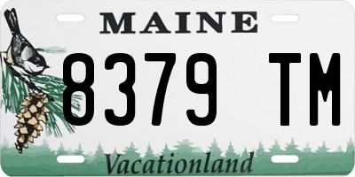 ME license plate 8379TM