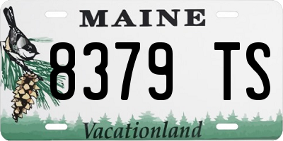 ME license plate 8379TS