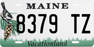 ME license plate 8379TZ