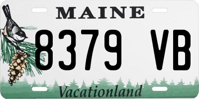 ME license plate 8379VB