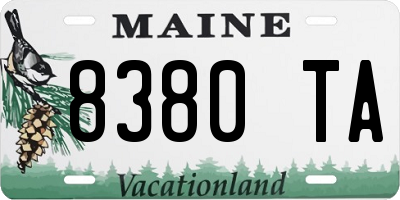 ME license plate 8380TA