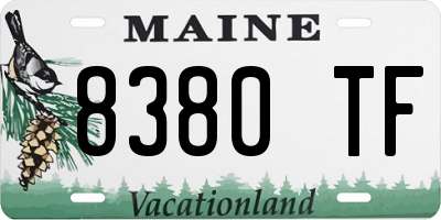 ME license plate 8380TF