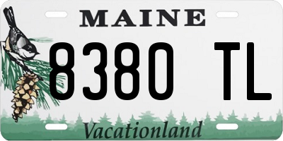 ME license plate 8380TL