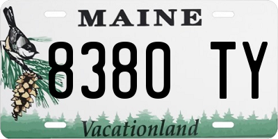 ME license plate 8380TY