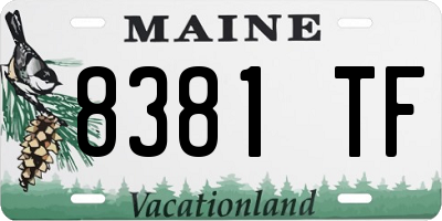 ME license plate 8381TF