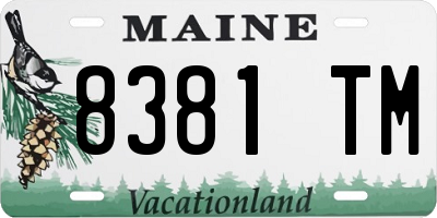 ME license plate 8381TM