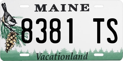 ME license plate 8381TS