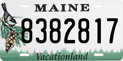 ME license plate 8382817