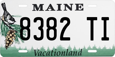 ME license plate 8382TI
