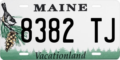 ME license plate 8382TJ