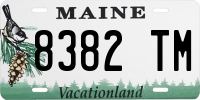 ME license plate 8382TM