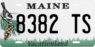ME license plate 8382TS