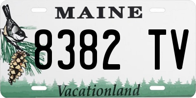 ME license plate 8382TV