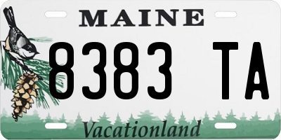 ME license plate 8383TA
