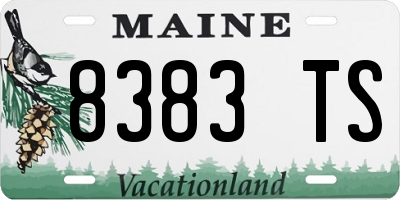 ME license plate 8383TS