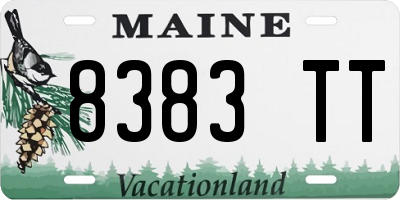 ME license plate 8383TT