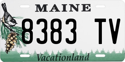 ME license plate 8383TV