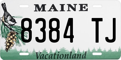 ME license plate 8384TJ