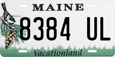 ME license plate 8384UL