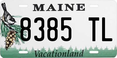 ME license plate 8385TL