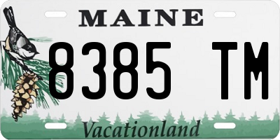 ME license plate 8385TM