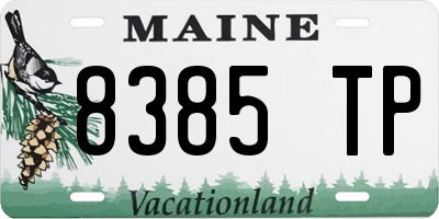 ME license plate 8385TP
