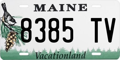 ME license plate 8385TV