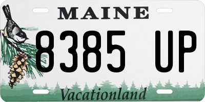 ME license plate 8385UP