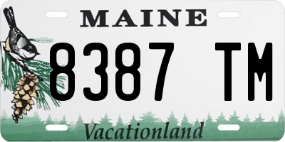 ME license plate 8387TM