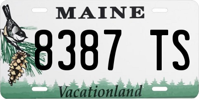 ME license plate 8387TS