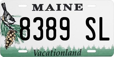 ME license plate 8389SL