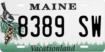 ME license plate 8389SW