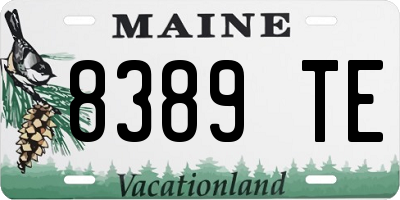 ME license plate 8389TE