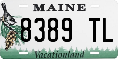 ME license plate 8389TL
