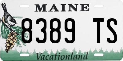 ME license plate 8389TS