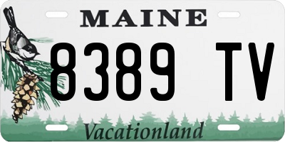 ME license plate 8389TV