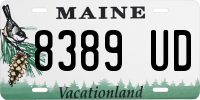 ME license plate 8389UD