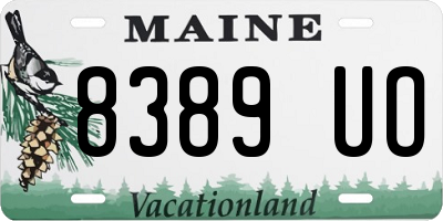 ME license plate 8389UO