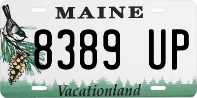 ME license plate 8389UP