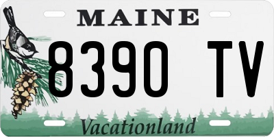 ME license plate 8390TV