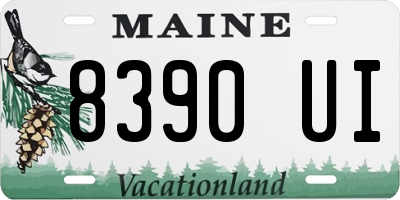 ME license plate 8390UI