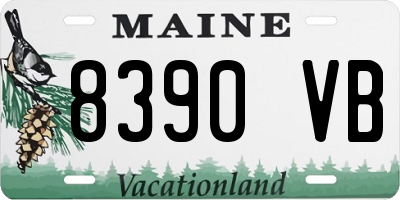 ME license plate 8390VB
