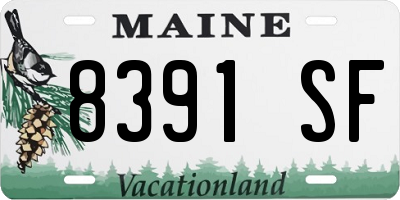 ME license plate 8391SF