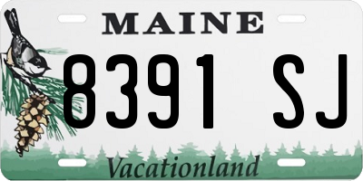 ME license plate 8391SJ
