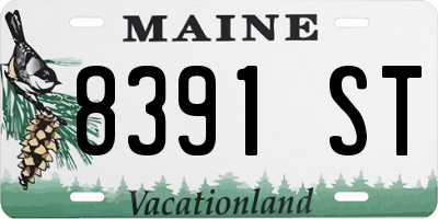 ME license plate 8391ST